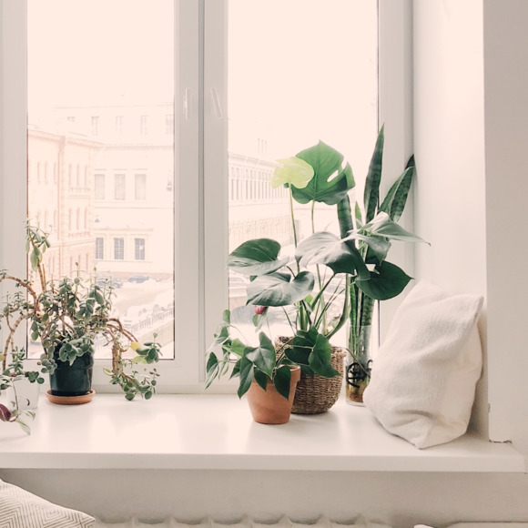 thecuratedhome